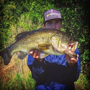 Meet your Posher, Cody